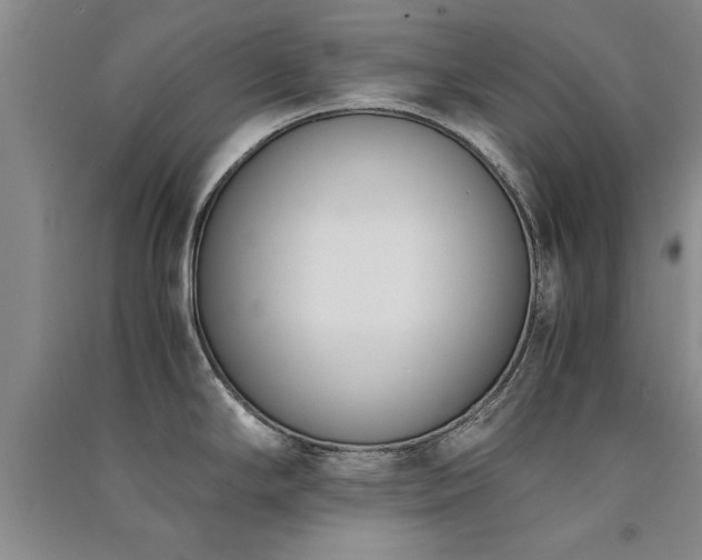 X0000091521294200708171209