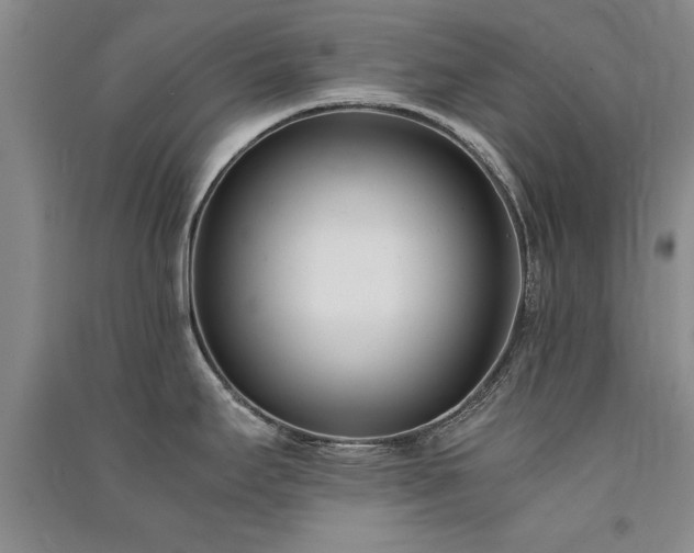 X0000091521295200708171209