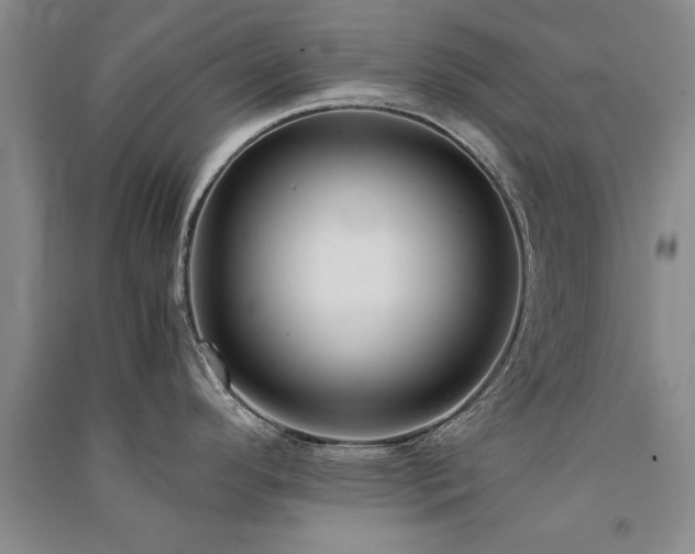 X0000091521296200708171209