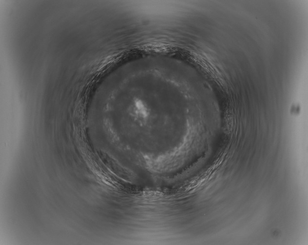 X0000091521297200708171208