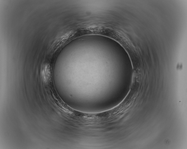 X0000091521298200708171208