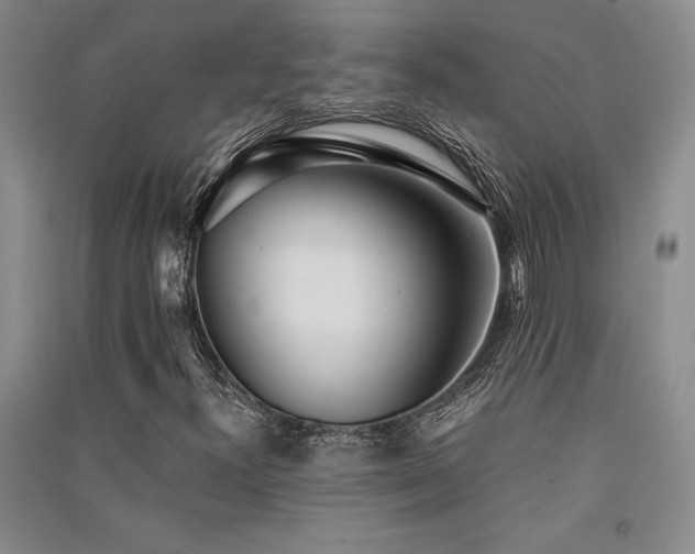 X0000091521300200708171208
