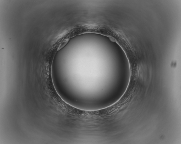 X0000091521301200708171208