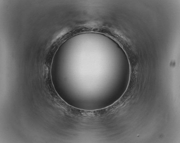 X0000091521302200708171208