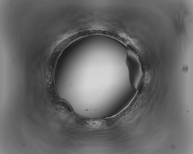 X0000091521303200708171208