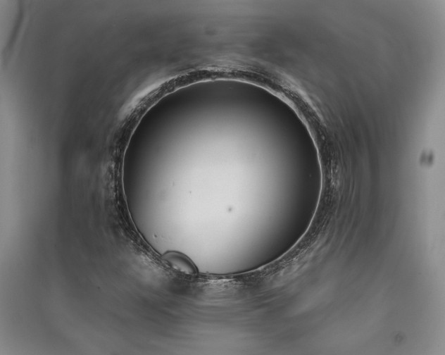 X0000091521304200708171208