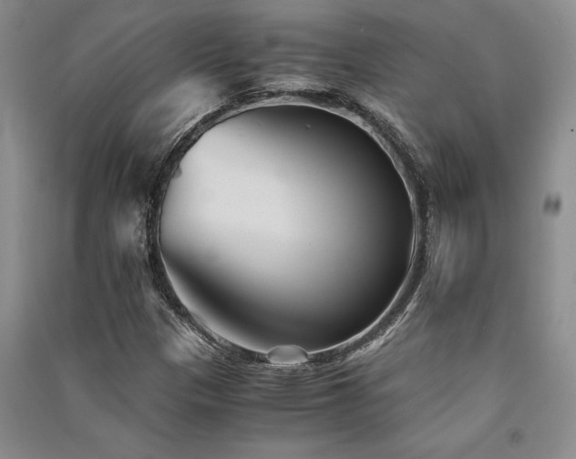 X0000091521305200708171208