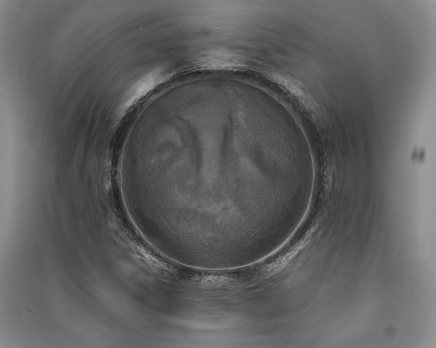 X0000091521306200708171208