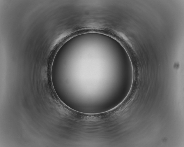 X0000091521307200708171208