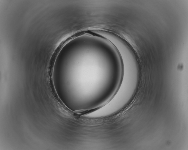 X0000091521308200708171208