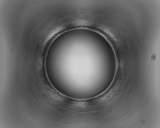 X0000091521309200708171208