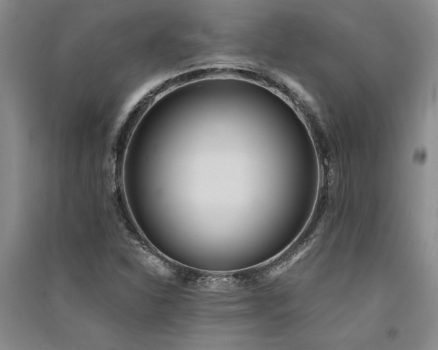 X0000091521310200708171208