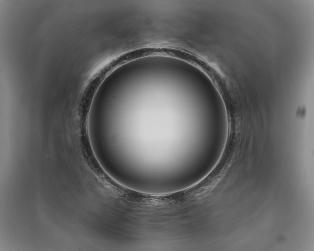 X0000091521311200708171208