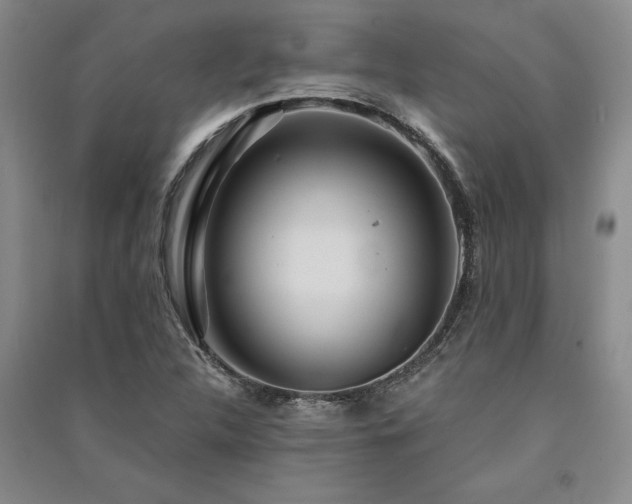 X0000091521312200708171208