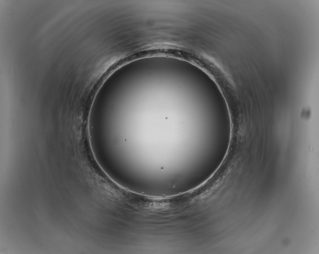 X0000091521313200708171208