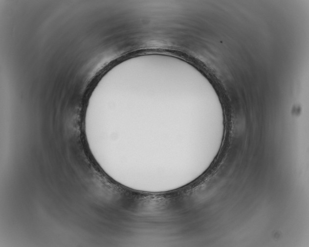 X0000091521314200708171208