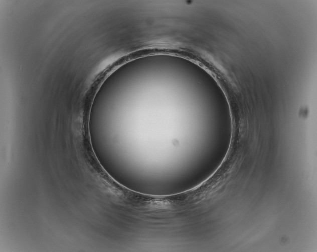 X0000091521315200708171208