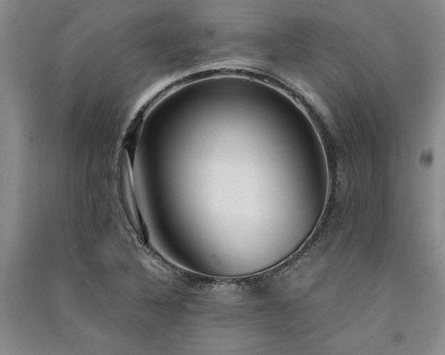 X0000091521316200708171208