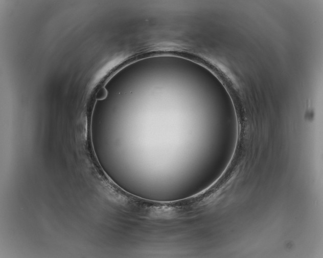 X0000091521317200708171208