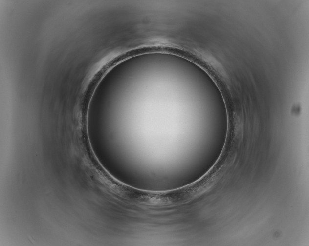 X0000091521318200708171208