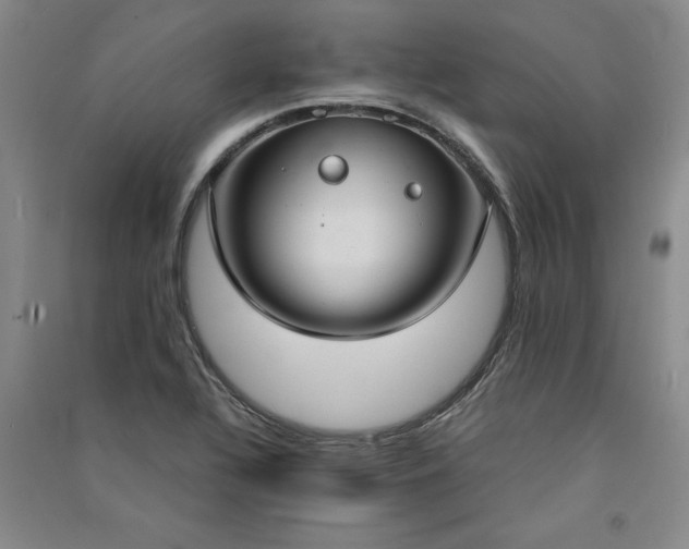 X0000091521320200708171208