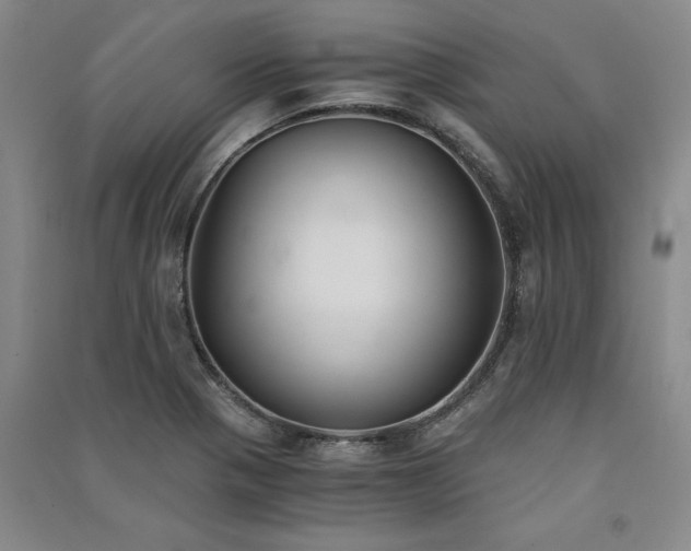 X0000091521321200708171208