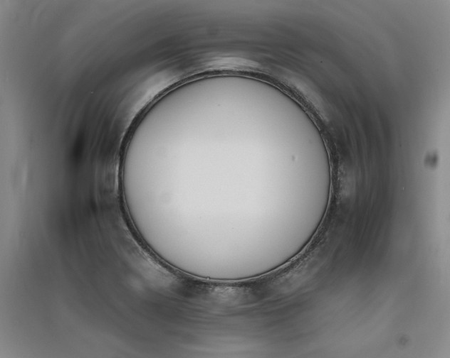 X0000091521322200708171208