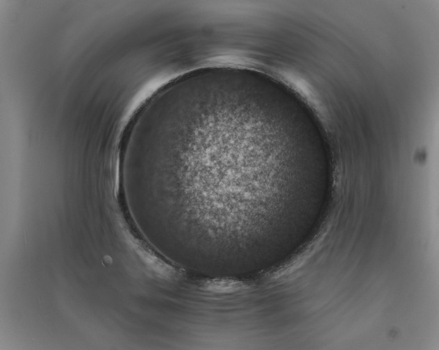 X0000091521323200708171208