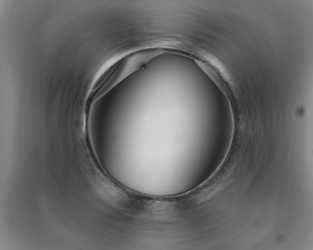 X0000091521324200708171208