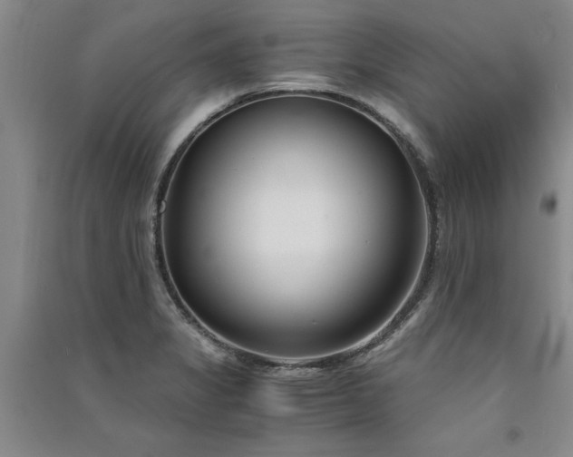 X0000091521325200708171208
