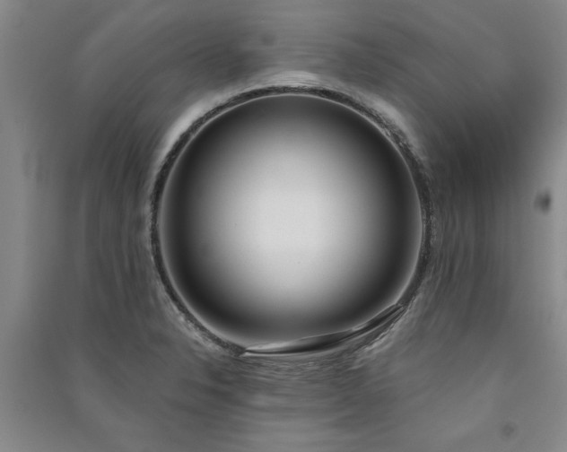 X0000091521326200708171208