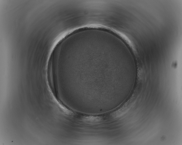 X0000091521327200708171208