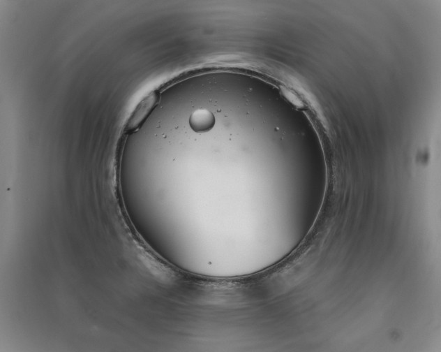 X0000091521328200708171208