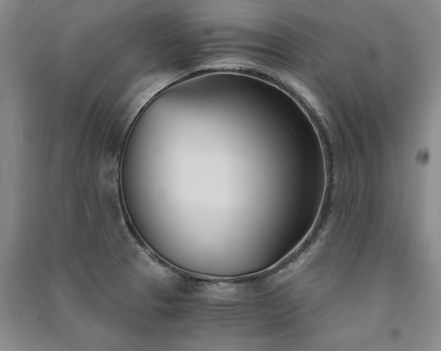 X0000091521329200708171208