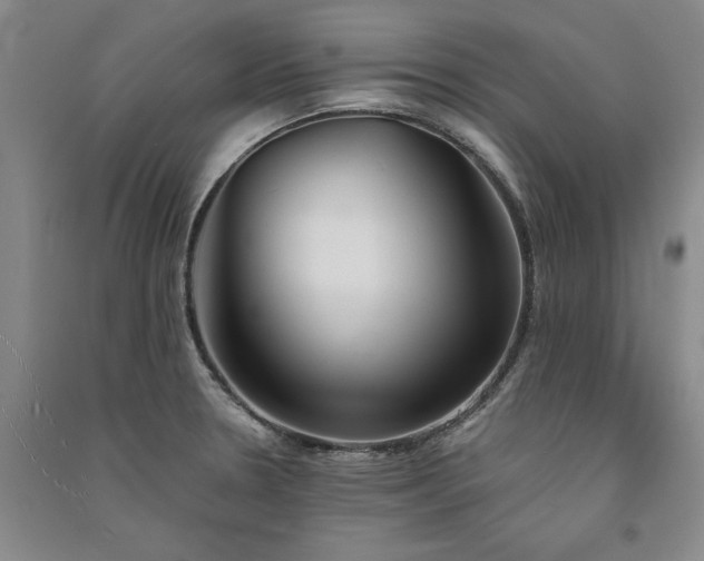 X0000091521330200708171208