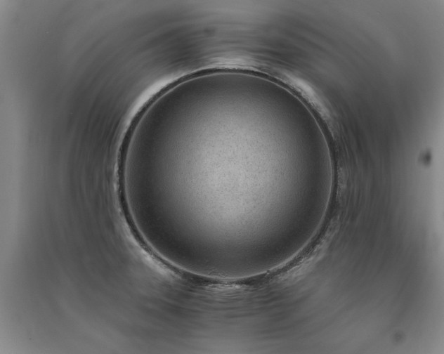 X0000091521331200708171208