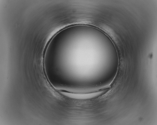 X0000091521332200708171208