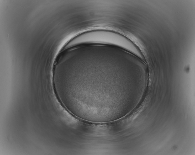 X0000091521334200708171209