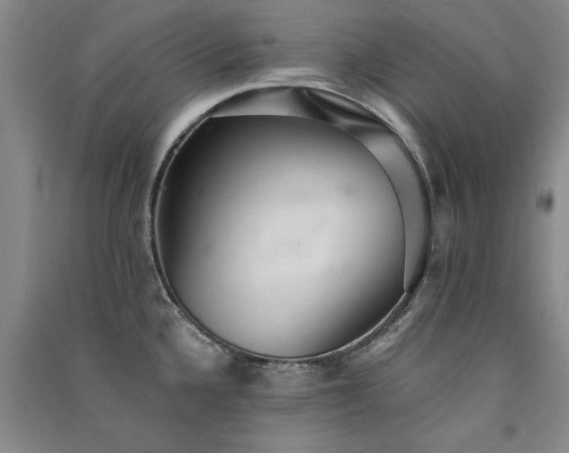X0000091521336200708171209