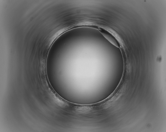 X0000091521337200708171209