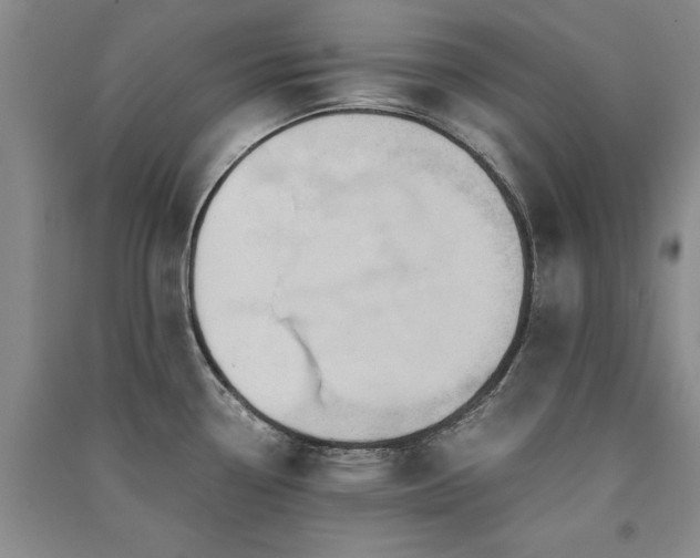 X0000091521338200708171209