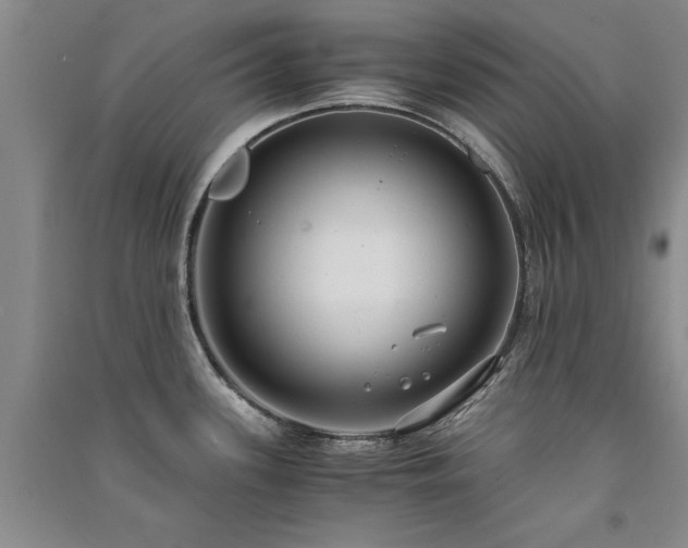 X0000091521339200708171209