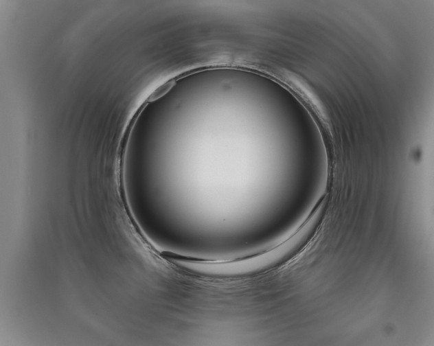 X0000091521340200708171209