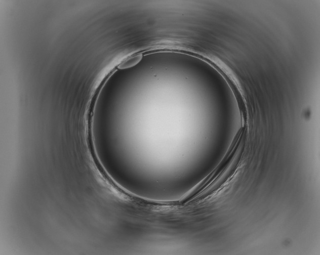 X0000091521341200708171209