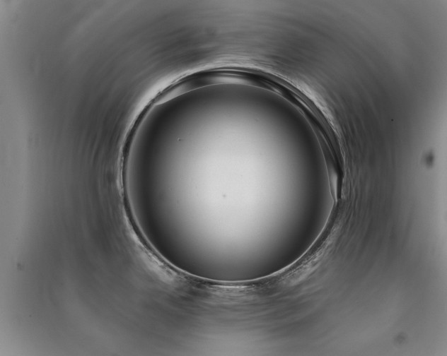 X0000091521342200708171209