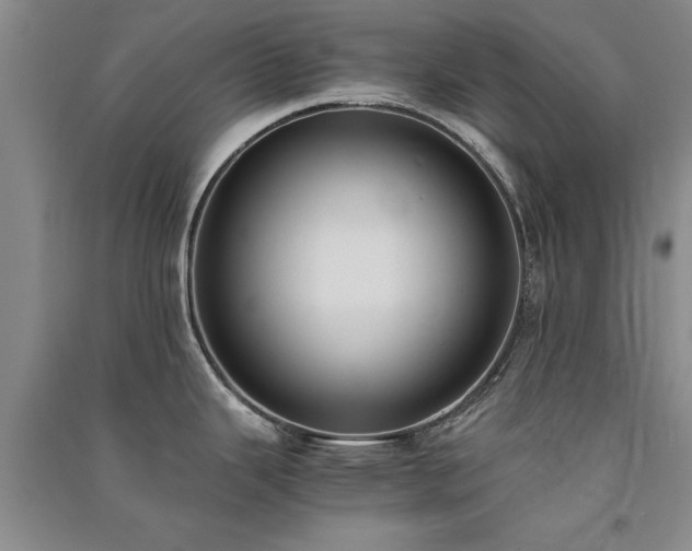 X0000091521343200708171209