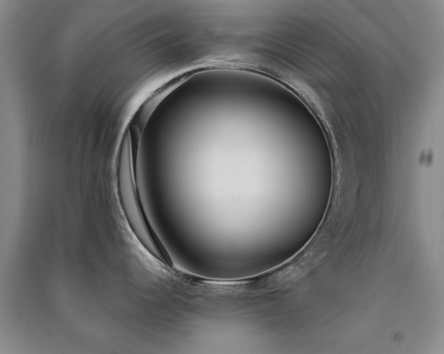X0000091521344200708171209