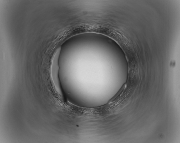 X0000091521345200708171208