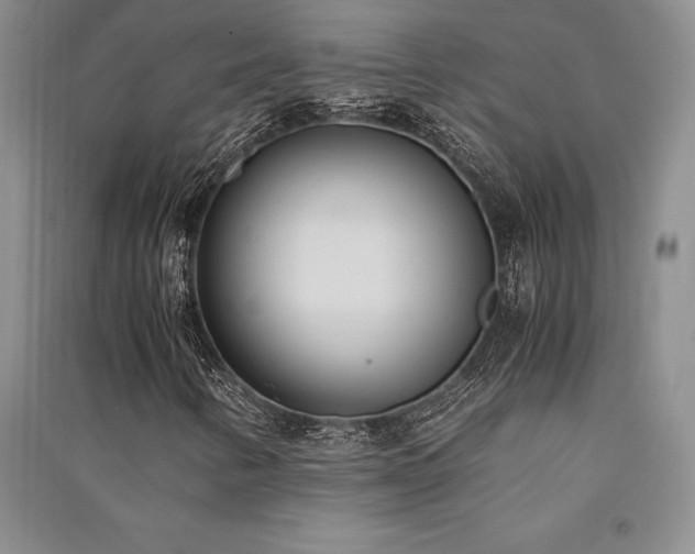 X0000091521346200708171208