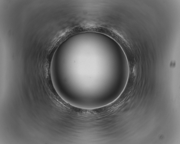 X0000091521348200708171208